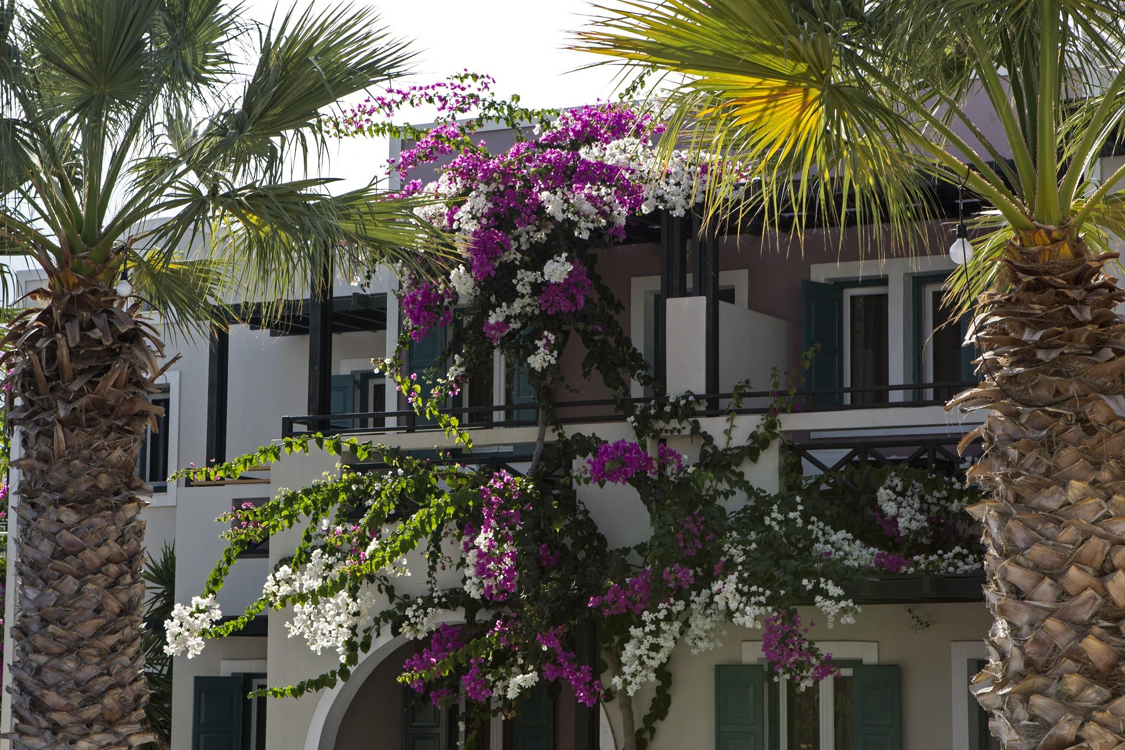 Rose Bay Hotel Kamari  Bagian luar foto