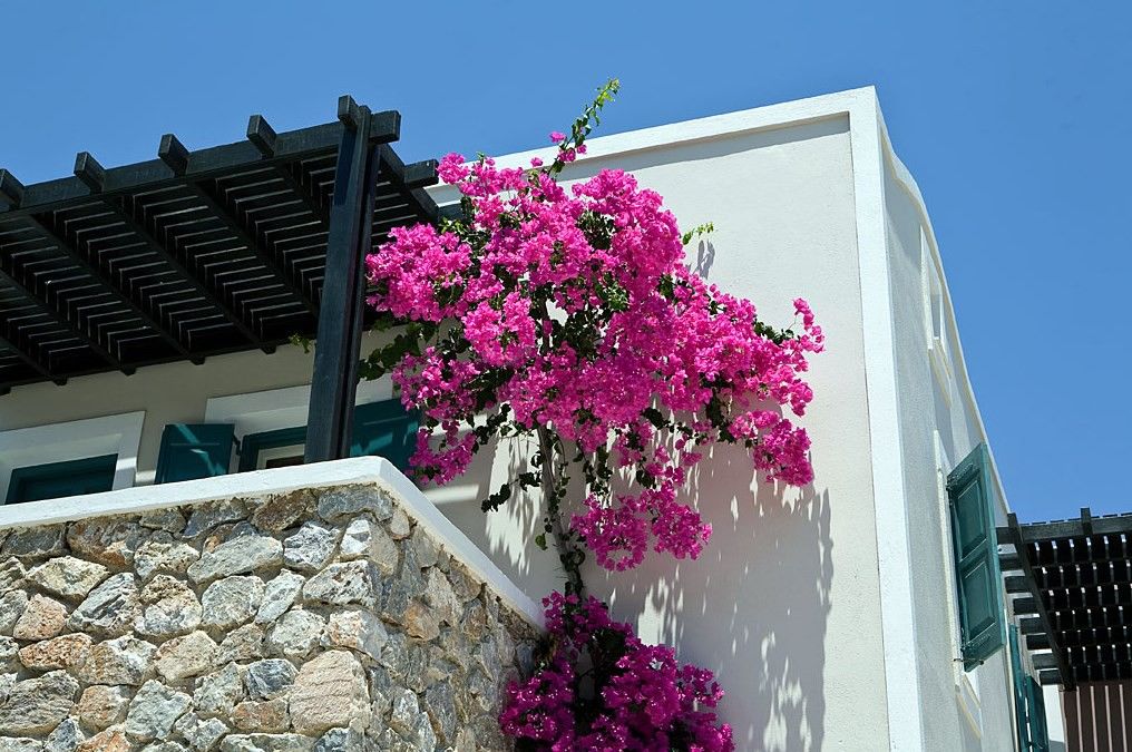 Rose Bay Hotel Kamari  Bagian luar foto